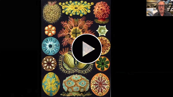 Thoughts on the Geometry of Nature, presented by Erik K. Evens