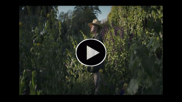 Between Heaven & Earth - A Video on Garden Designer Nancy Goslee Power, directed by Alex Kennedy